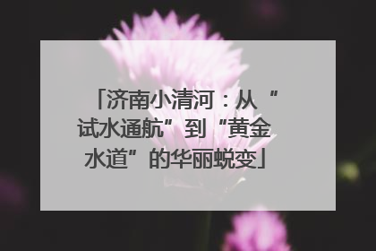 济南小清河：从“试水通航”到“黄金水道”的华丽蜕变