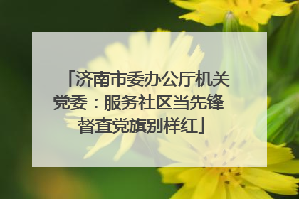 济南市委办公厅机关党委：服务社区当先锋 督查党旗别样红