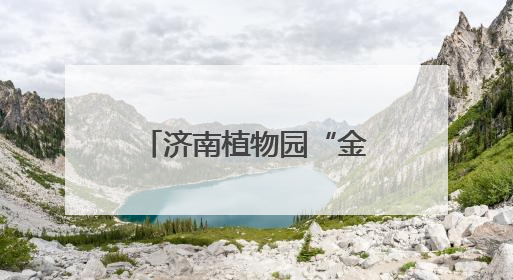 济南植物园“金榜题名”植物特辑——为中高考学子送上自然祝福！