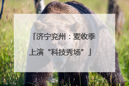 济宁兖州：麦收季上演“科技秀场”