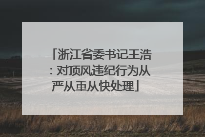浙江省委书记王浩：对顶风违纪行为从严从重从快处理