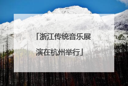 浙江传统音乐展演在杭州举行