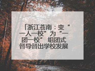 浙江苍南：变“一人一校”为“一团一校” 组团式督导督出学校发展加速度
