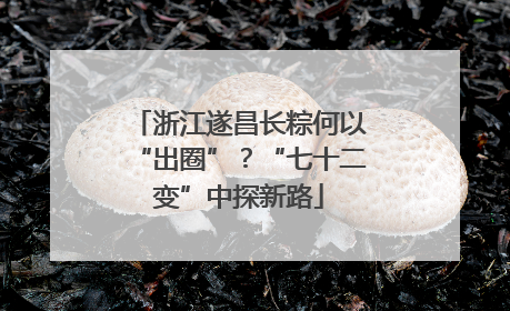 浙江遂昌长粽何以“出圈”？“七十二变”中探新路