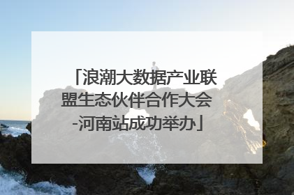 浪潮大数据产业联盟生态伙伴合作大会-河南站成功举办