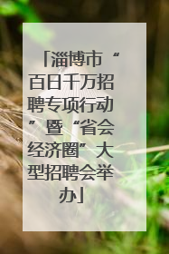 淄博市“百日千万招聘专项行动”暨“省会经济圈”大型招聘会举办