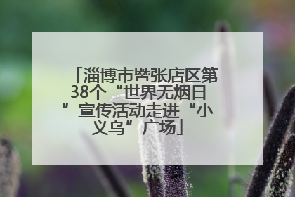淄博市暨张店区第38个“世界无烟日”宣传活动走进“小义乌”广场
