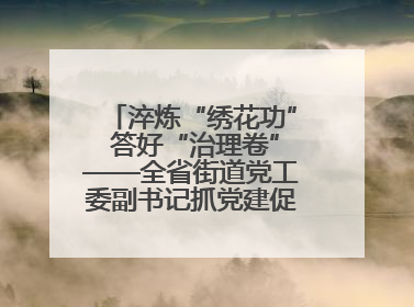 淬炼“绣花功” 答好“治理卷”——全省街道党工委副书记抓党建促基层治理培训示范班侧记