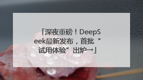 深夜重磅！DeepSeek最新发布，首批“试用体验”出炉→