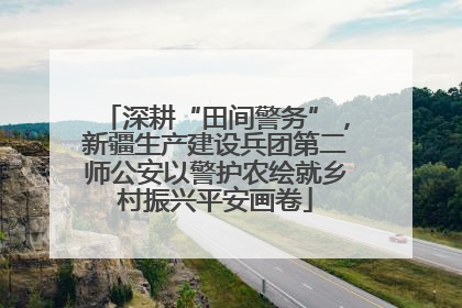 深耕“田间警务”，新疆生产建设兵团第二师公安以警护农绘就乡村振兴平安画卷