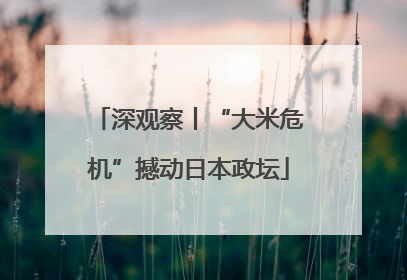 深观察丨“大米危机”撼动日本政坛
