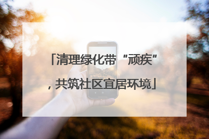 清理绿化带“顽疾”，共筑社区宜居环境