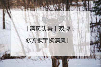 清风头条丨双牌：多方携手扬清风