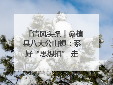 清风头条｜桑植县八大公山镇：系好“思想扣” 走稳“青廉路”