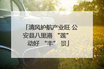 清风护航产业旺 公安县八里港 “莲” 动好 “丰” 景