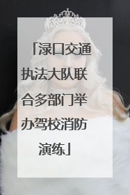 渌口交通执法大队联合多部门举办驾校消防演练