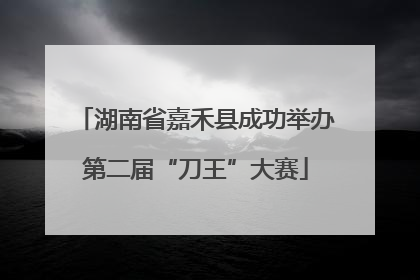 湖南省嘉禾县成功举办第二届“刀王”大赛