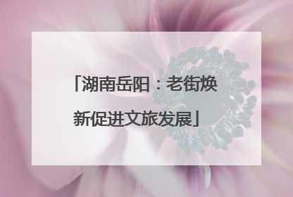 湖南岳阳：老街焕新促进文旅发展