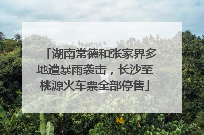 湖南常德和张家界多地遭暴雨袭击，长沙至桃源火车票全部停售