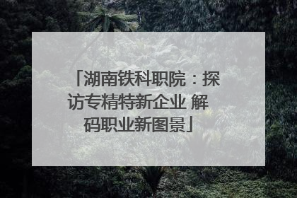 湖南铁科职院：探访专精特新企业 解码职业新图景