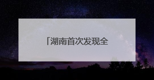 湖南首次发现全新世大熊猫化石
