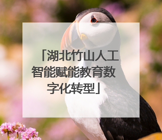 湖北竹山人工智能赋能教育数字化转型