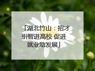 湖北竹山：招才引智进高校 促进就业助发展