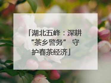 湖北五峰：深耕“茶乡警务” 守护春茶经济