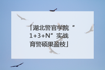 湖北警官学院“1+3+N”实战育警硕果盈枝