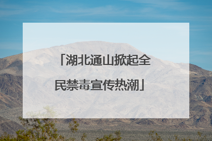 湖北通山掀起全民禁毒宣传热潮