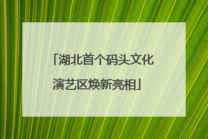 湖北首个码头文化演艺区焕新亮相