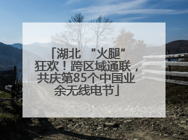 湖北 “火腿” 狂欢！跨区域通联，共庆第85个中国业余无线电节