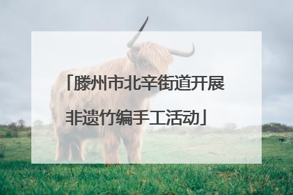滕州市北辛街道开展非遗竹编手工活动