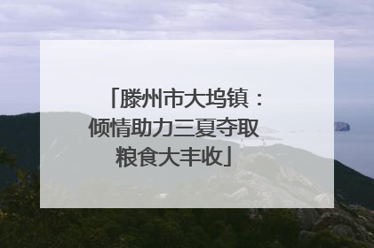 滕州市大坞镇：倾情助力三夏夺取粮食大丰收