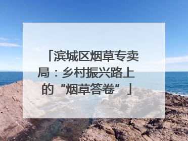 滨城区烟草专卖局：乡村振兴路上的“烟草答卷”
