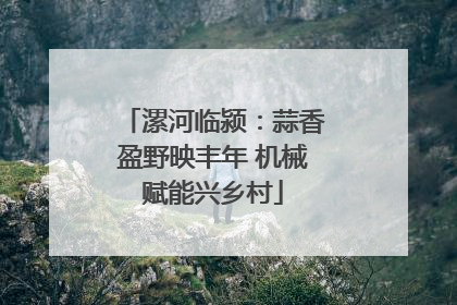 漯河临颍：蒜香盈野映丰年 机械赋能兴乡村