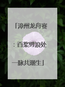 漳州龙舟赛：百桨劈浪处一脉共潮生