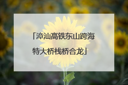漳汕高铁东山跨海特大桥栈桥合龙