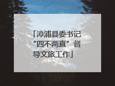 漳浦县委书记“四不两直”督导文旅工作