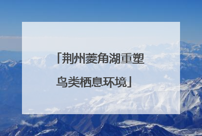 荆州菱角湖重塑鸟类栖息环境