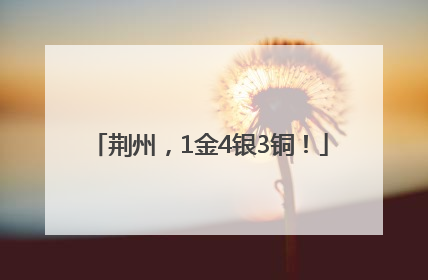 荆州，1金4银3铜！