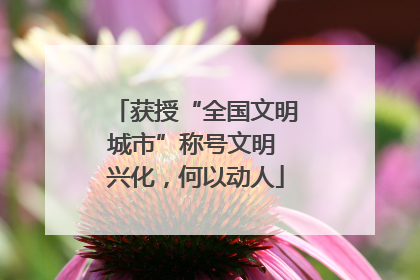 获授“全国文明城市”称号文明 兴化，何以动人