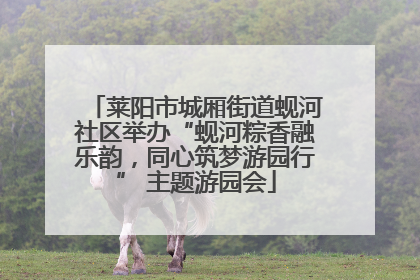 莱阳市城厢街道蚬河社区举办“蚬河粽香融乐韵，同心筑梦游园行” 主题游园会