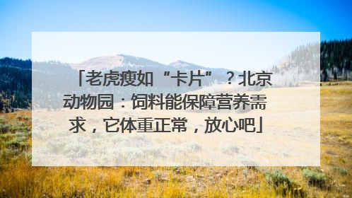 老虎瘦如“卡片”？北京动物园：饲料能保障营养需求，它体重正常，放心吧