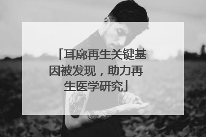 耳廓再生关键基因被发现，助力再生医学研究