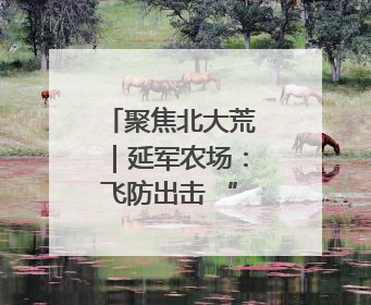 聚焦北大荒｜延军农场：飞防出击 “一喷多效”
