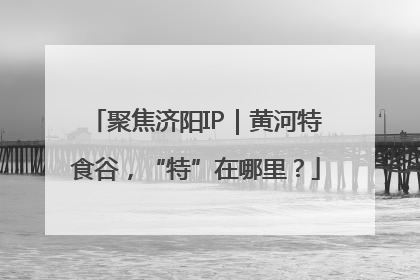 聚焦济阳IP｜黄河特食谷，“特”在哪里？
