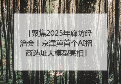 聚焦2025年廊坊经洽会丨京津冀首个AI招商选址大模型亮相