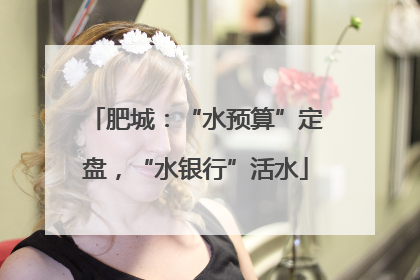 肥城：“水预算”定盘，“水银行”活水
