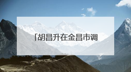 胡昌升在金昌市调研时强调：推进创新链与产业链深度融合 为高质量发展塑造新动能新优势